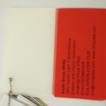 Arctic Snow White Ethylene Vinyl Acetate Copolymer EVA interlayer film for laminated glass safety glazing (32)